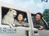 《我会好好的》一只流浪狗的闯入让她逐渐放下家庭伤痛,形影不离的朝夕相处温暖了同样孤独的两个灵魂2025.3.22中国大陆
